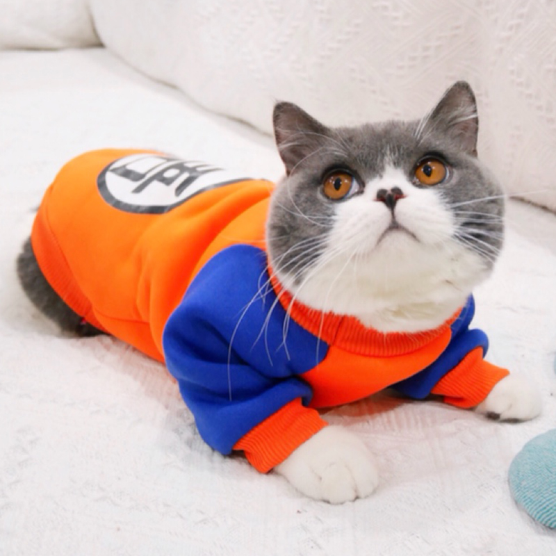  Pet Cat Costume Summer Cat Vest Hoodie Cozy Mascoats Gotos Clothes for Cats Katten Coat Kedi Clothing Sweatshirt Outfit