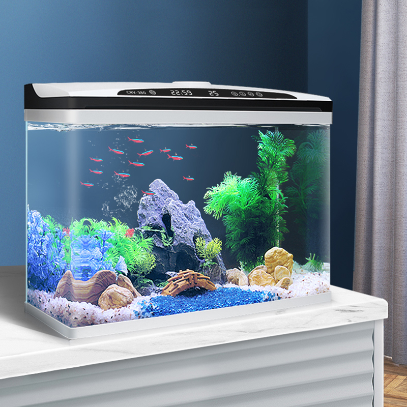 Mini Betta Fish Tank Glass Ecological Filter Oxygen Pump Small Guppy Table Lamp Creative Aquarium Decoration Terrarium Incubator